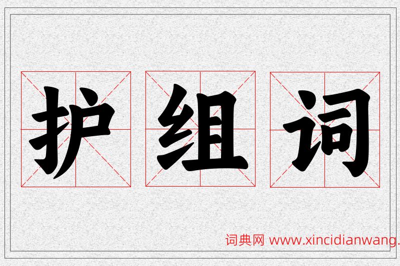 护字的组词