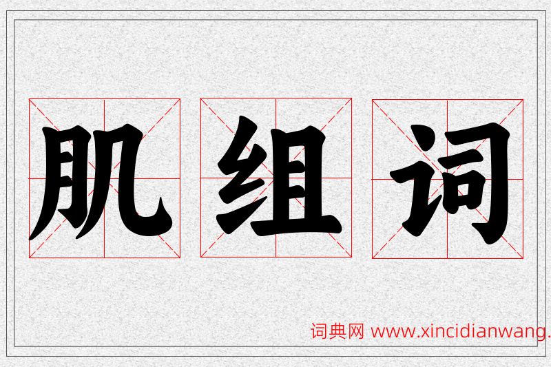 肌字的组词