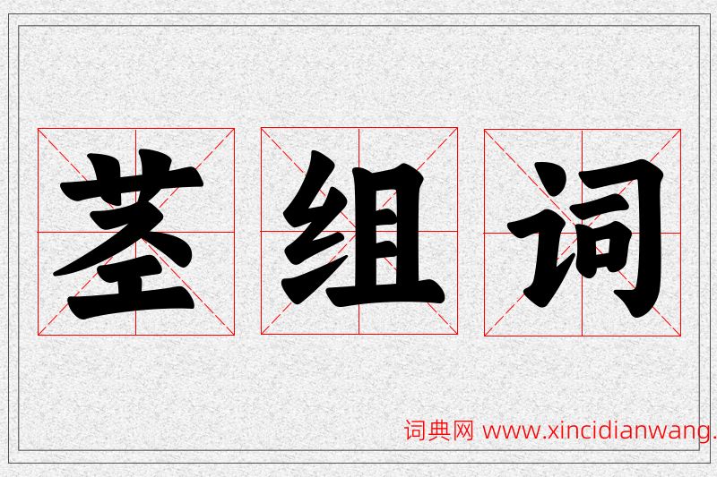 茎字的组词