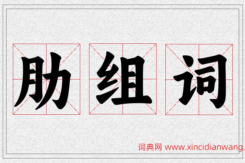 肋字的组词