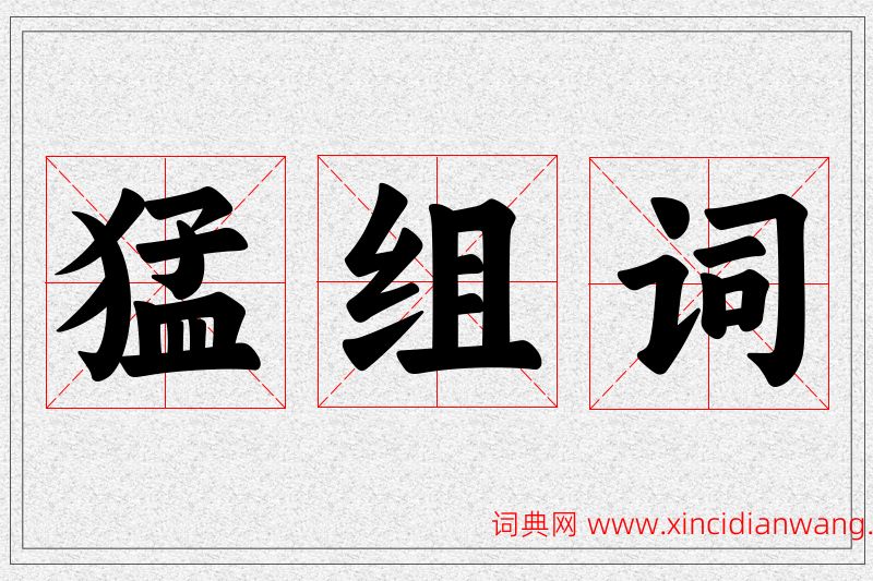 猛字的组词