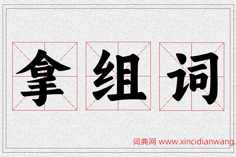 拿字的组词