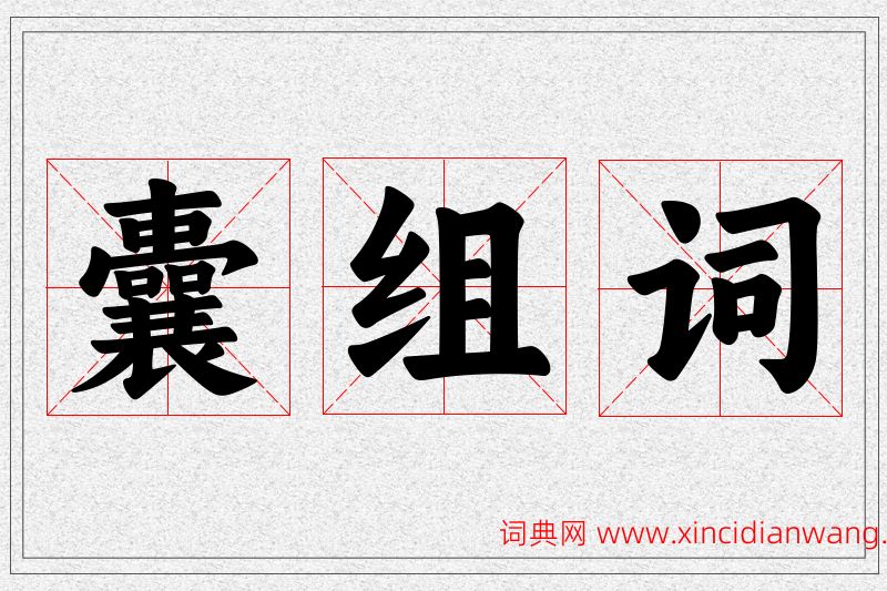 囊字的组词