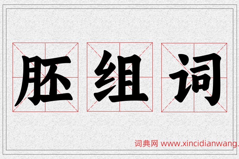 胚字的组词