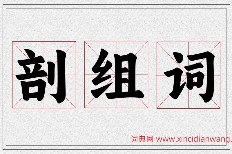 剖字的组词