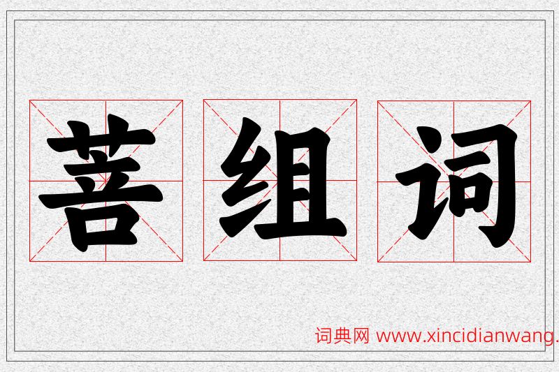 菩字的组词
