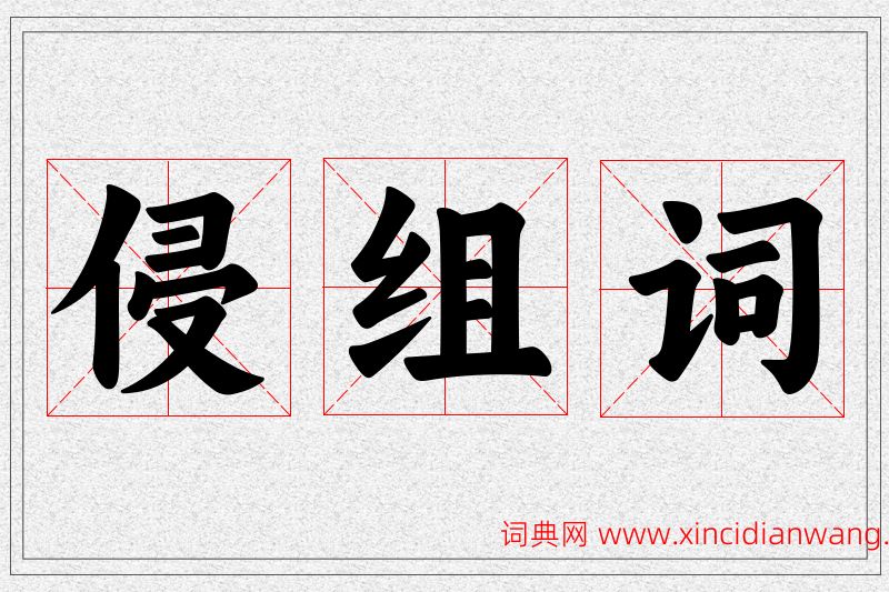 侵字的组词