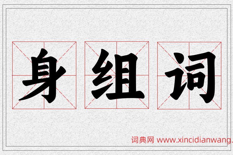 身字的组词