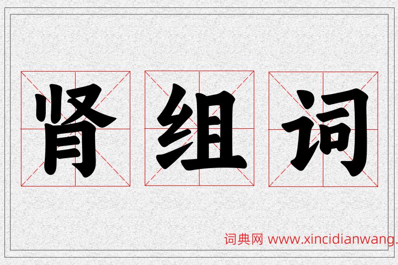 肾字的组词