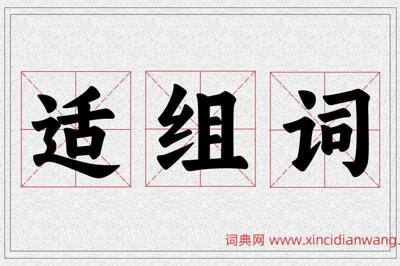 适字的组词
