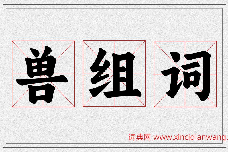 兽字的组词