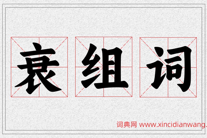 衰字的组词