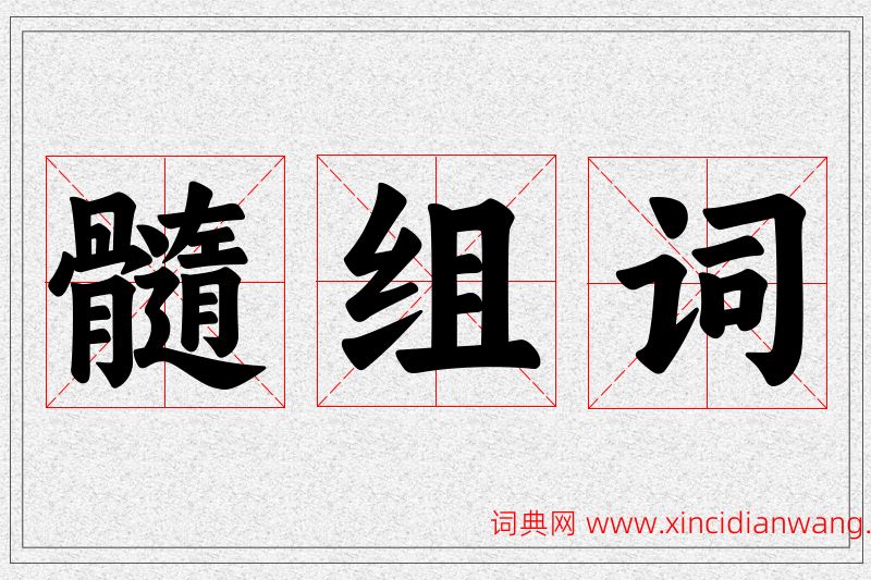 髓字的组词