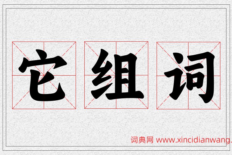 它字的组词