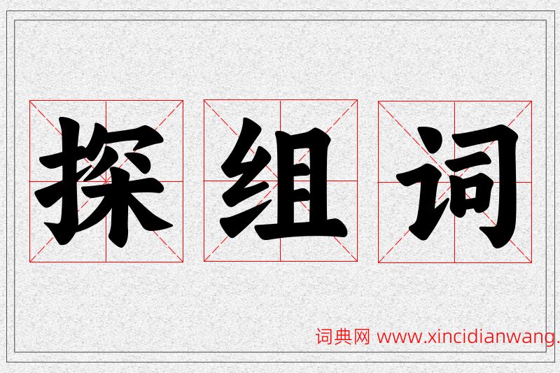 探字的组词