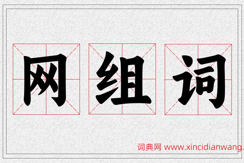 网字的组词