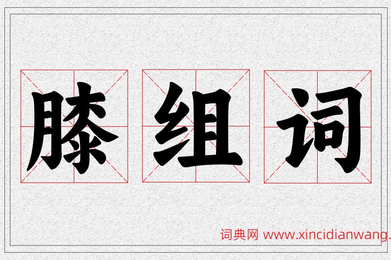膝字的组词