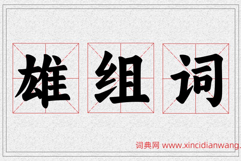 雄字的组词
