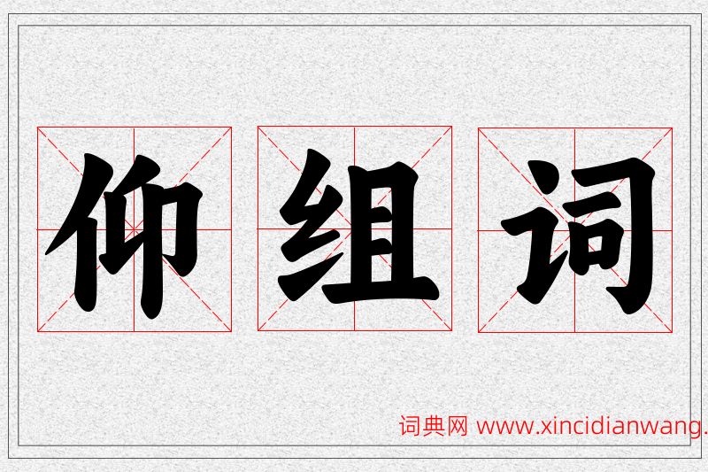 仰字的组词