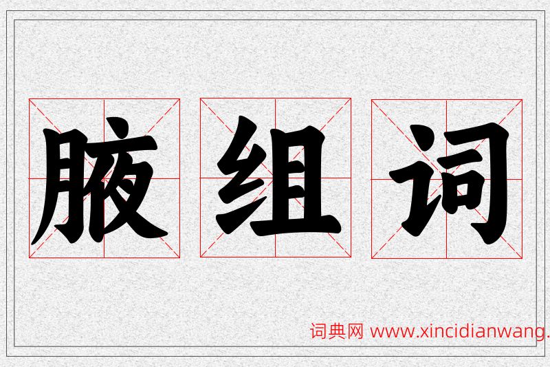 腋字的组词