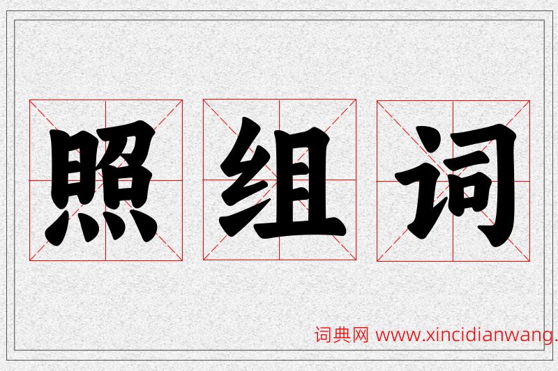 照字的组词