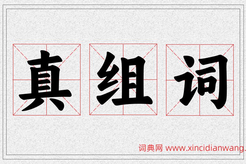 真字的组词