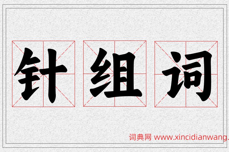针字的组词