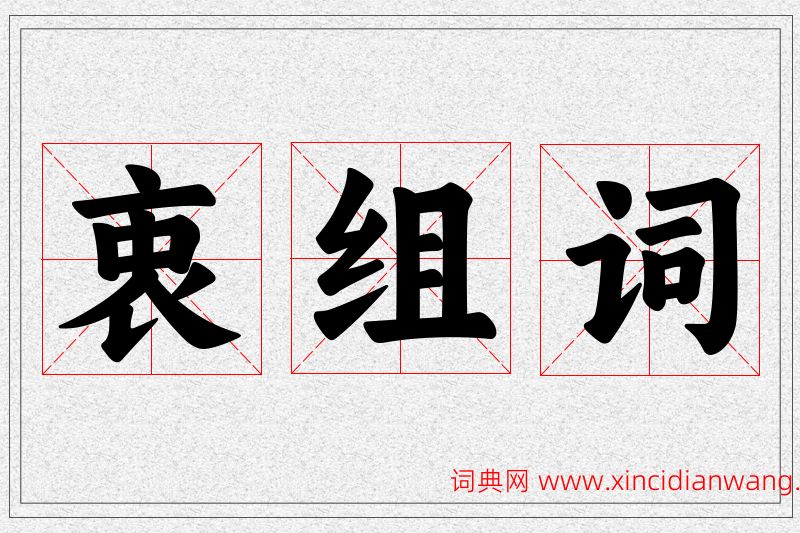 衷字的组词