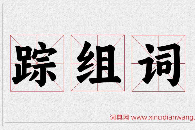 踪字的组词