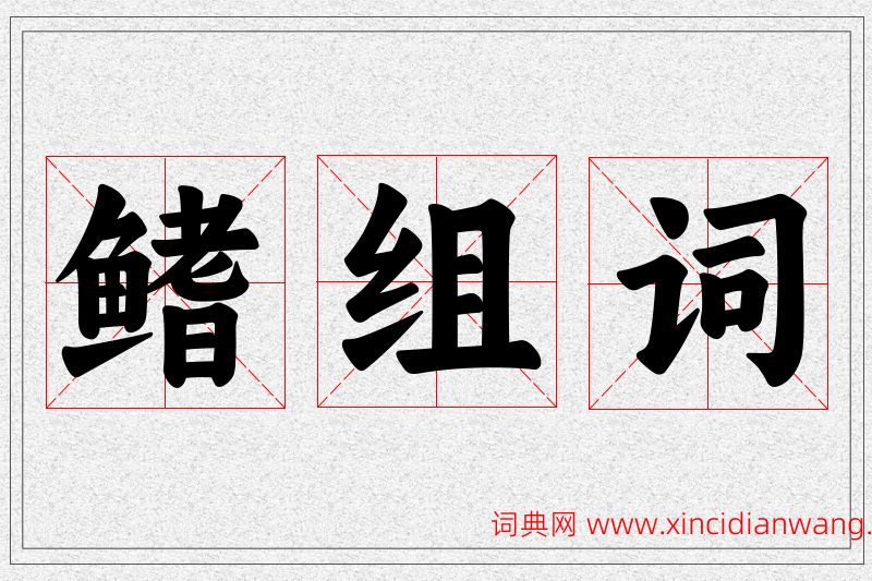 鳍字的组词
