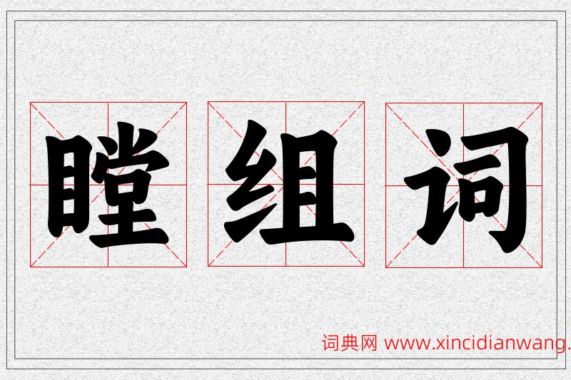 瞠字的组词