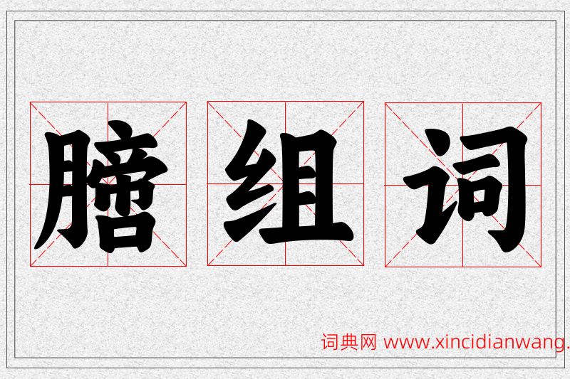 膪字的组词