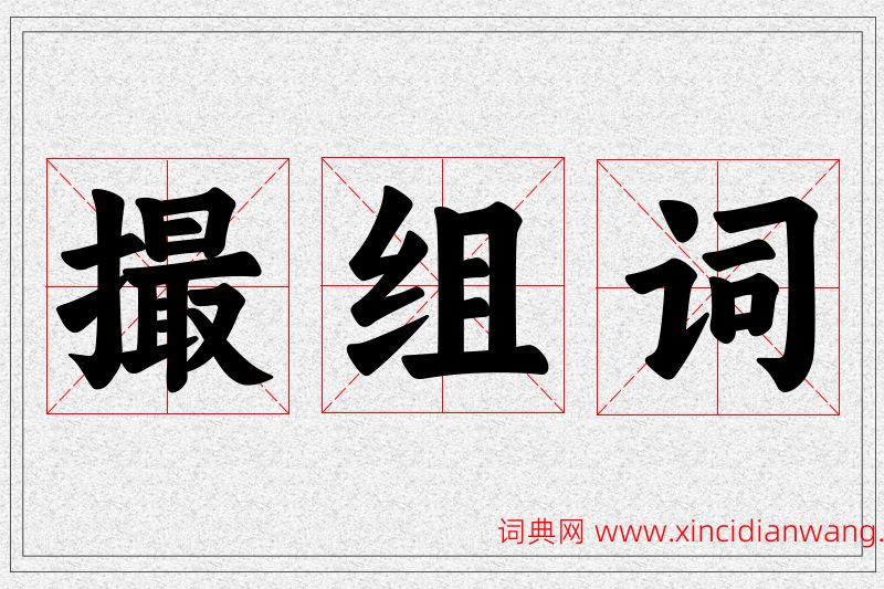 撮字的组词