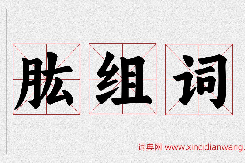 肱字的组词