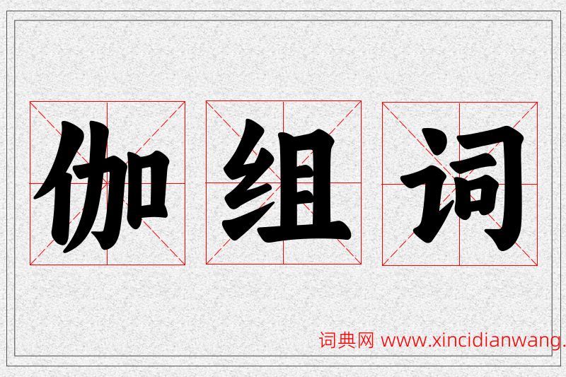 伽字的组词