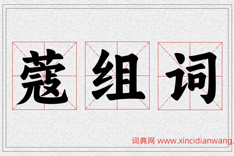 蔻字的组词
