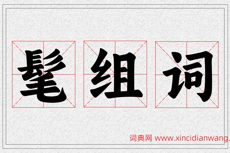 髦字的组词