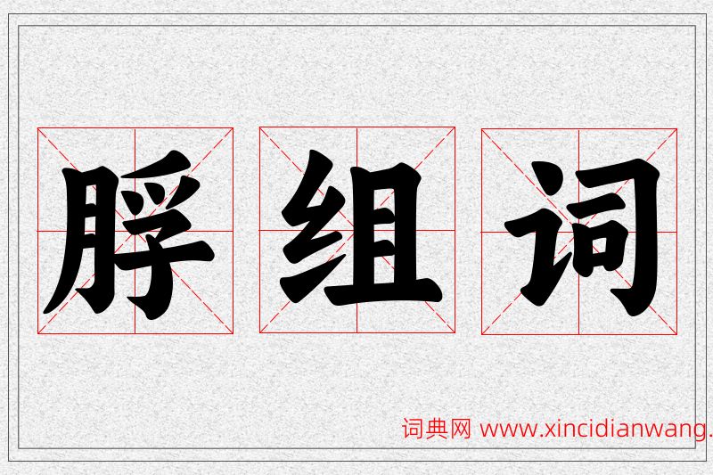 脬字的组词