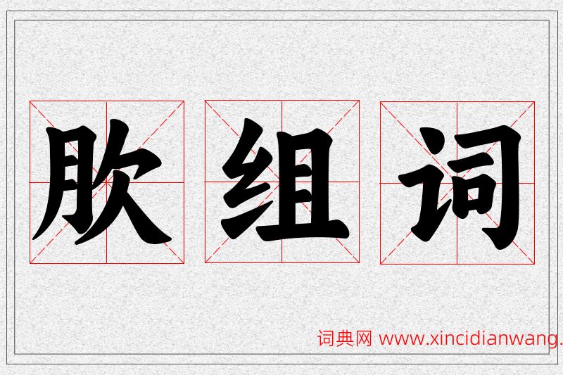 肷字的组词