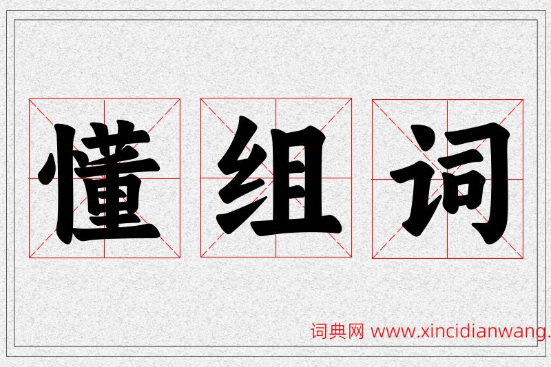 懂字的组词