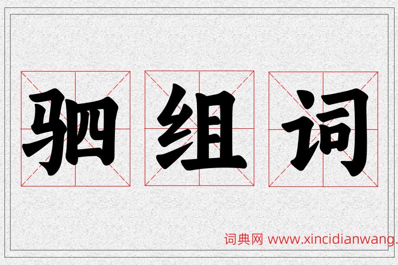驷字的组词