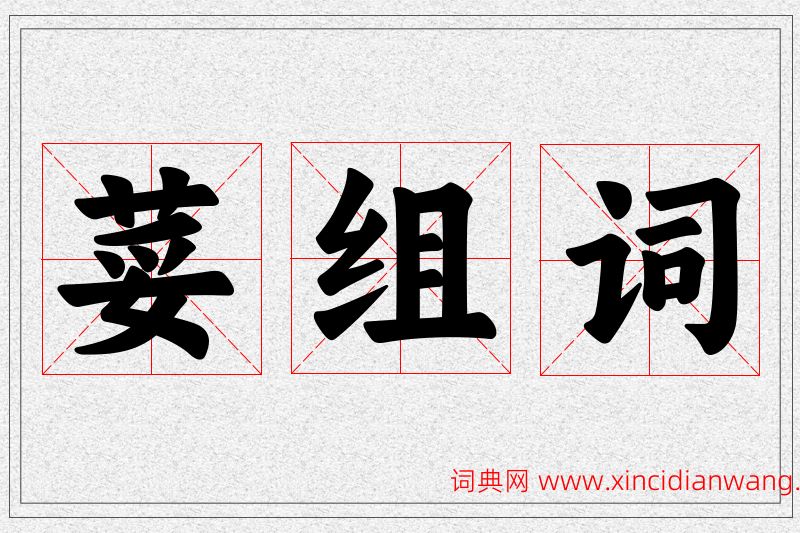 荽字的组词
