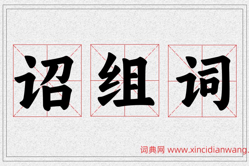 诏字的组词