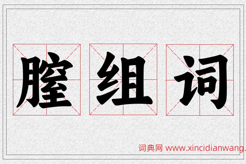 膣字的组词