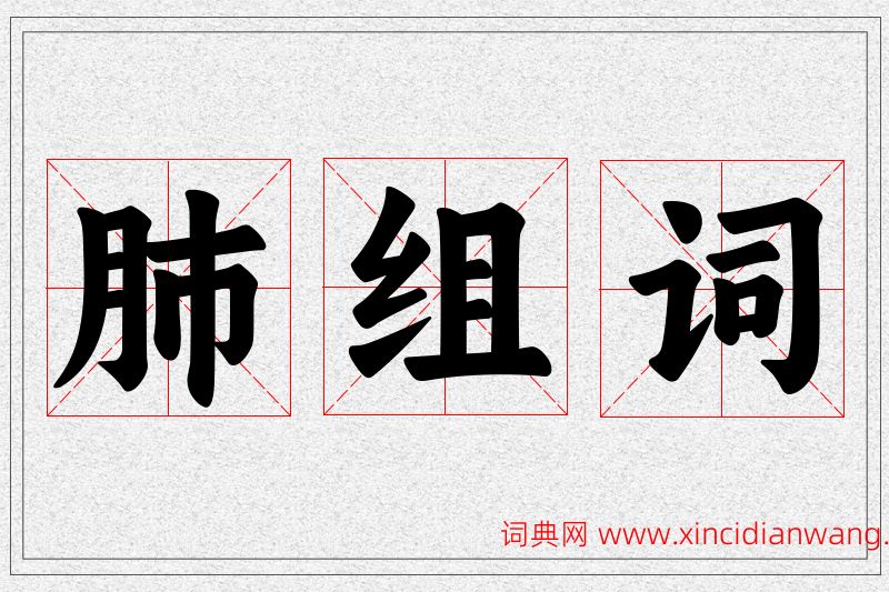 肺字的组词