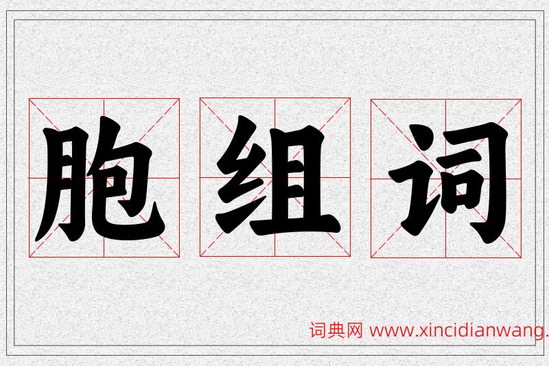 胞字的组词